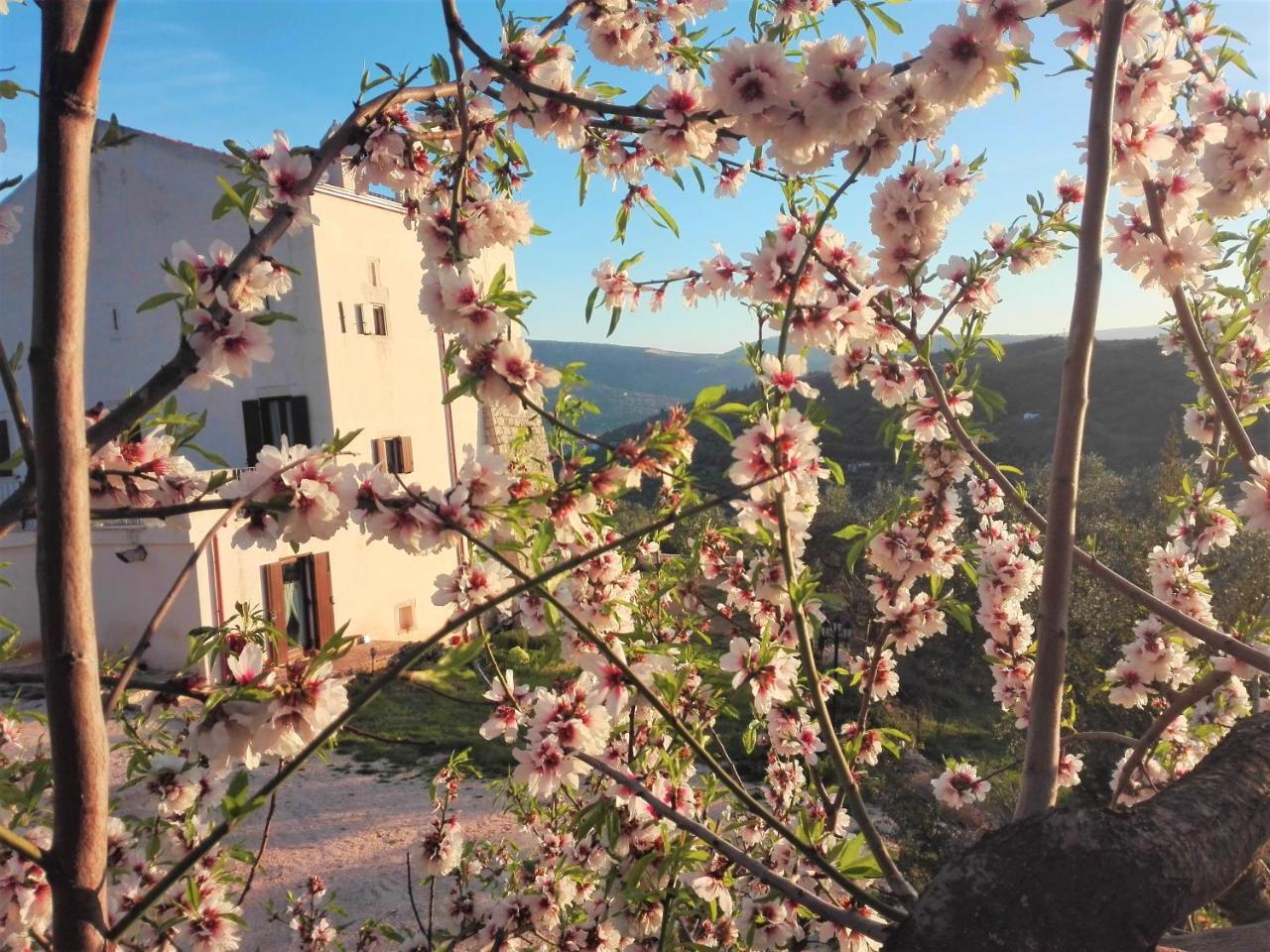 Torre Bruno Carpino Exterior foto